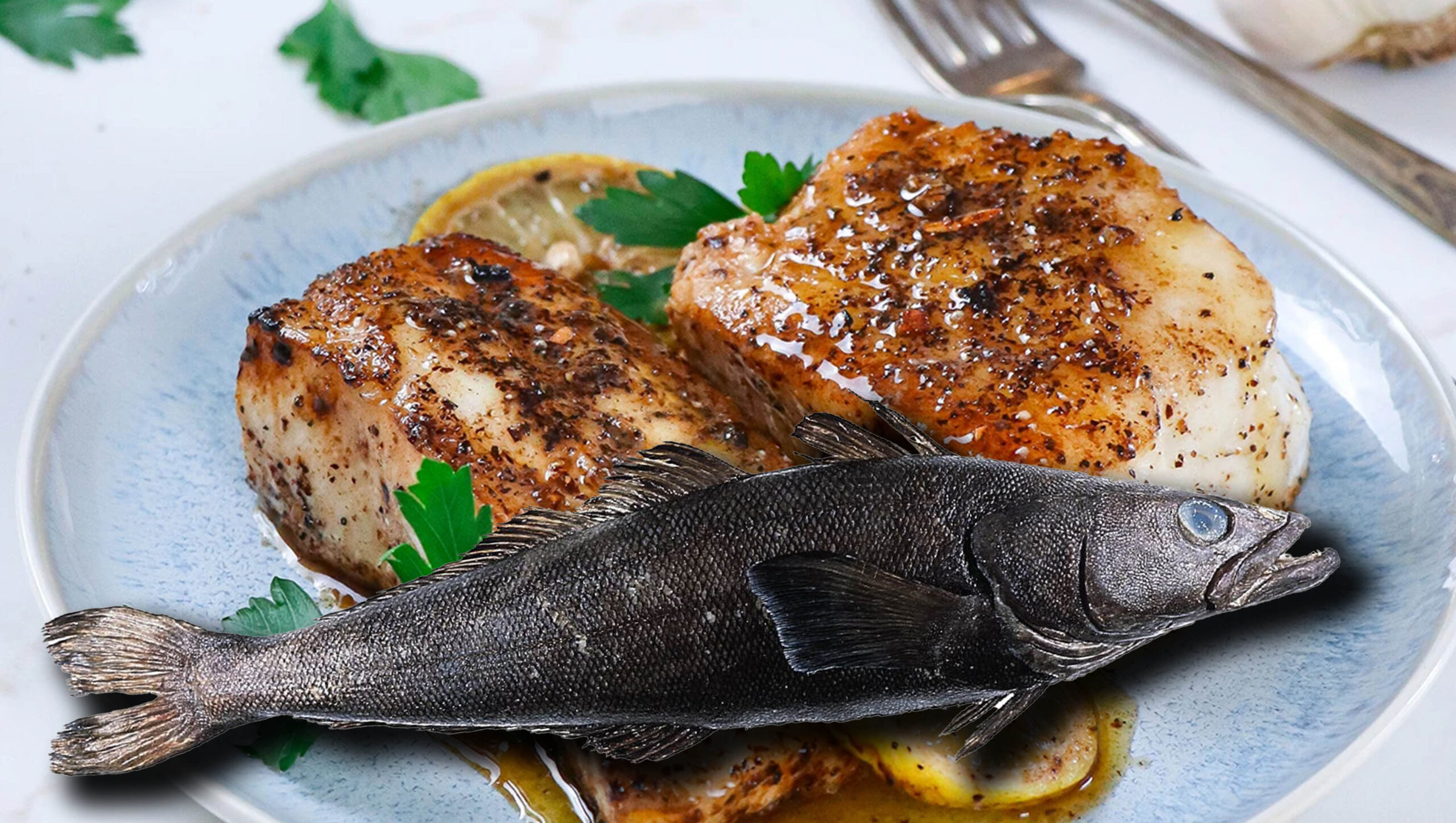 Fish Fraud: Chilean Sea Bass is a Lie | The Internet Says it's True